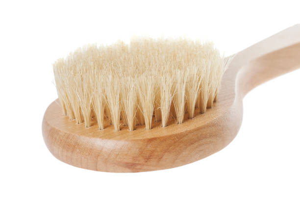 istock natural brush for washing 698615590