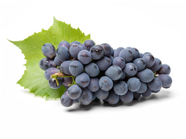 istock Purple grape with green leaf isolated  background 698620310