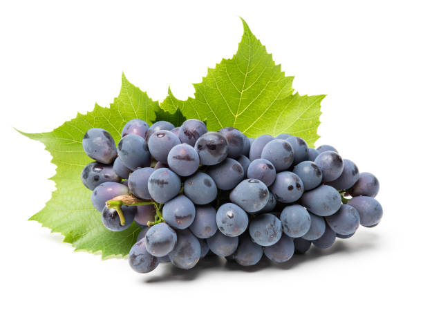 istock Purple grape with green leaf isolated  background 698620688