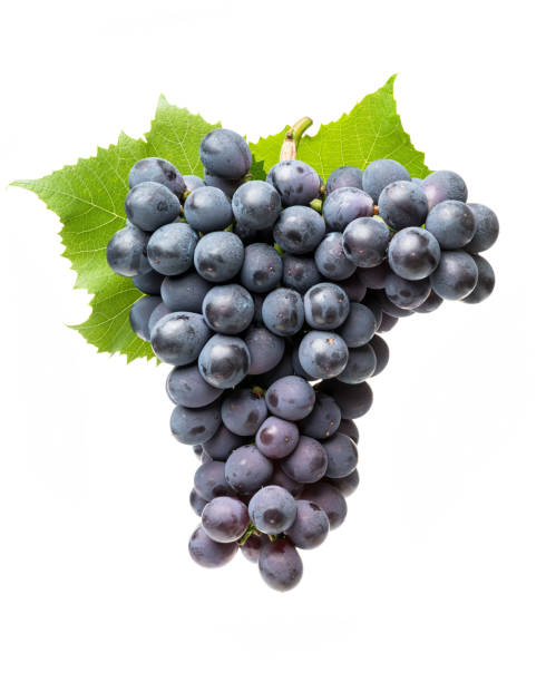 istock Purple grape with green leaf isolated  background 698621440