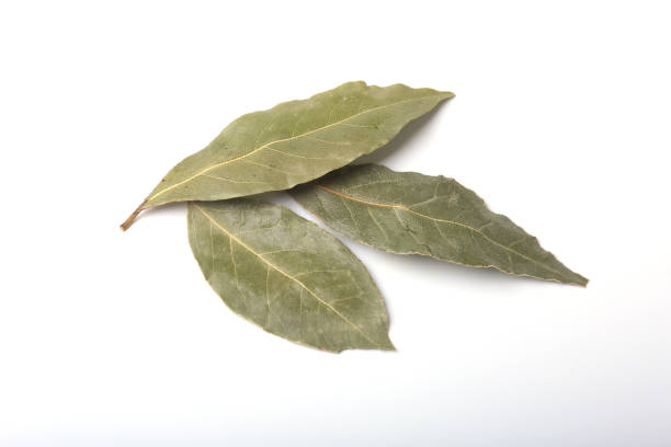 istock Aromatic dried bay leaves on white background. 698622108