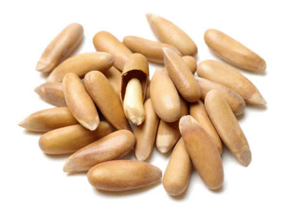 istock Pine Nuts from Brazil isolated on white background 698628598