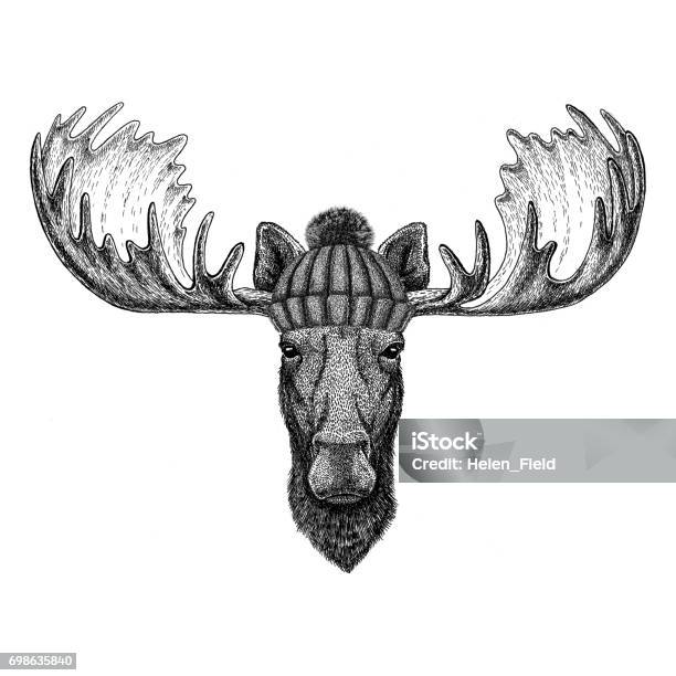 Moose Elk Wearing Winter Knitted Hat Stock Illustration - Download Image Now - Moose, Logo, Christmas