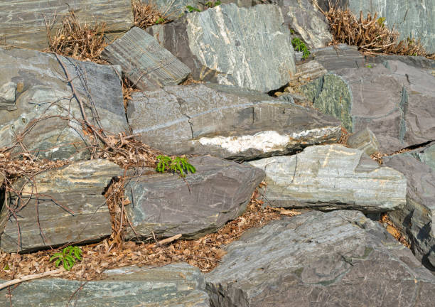 istock Rock wall with dead leaves and foliage 698641456