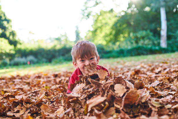 istock Young boy playing in Autumn 698647860