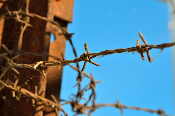 alambre de púas a veces recuerda a campos de concentración - birkenau fotografías e imágenes de stock