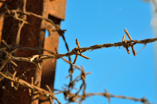 Barbed wire at times reminiscent of concentration camps