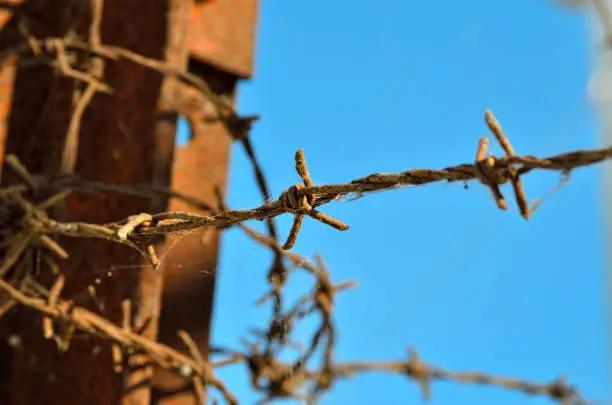 Barbed wire at times reminiscent of concentration camps.