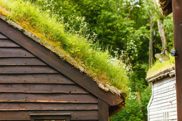 istock House roof covered with moss 698659016