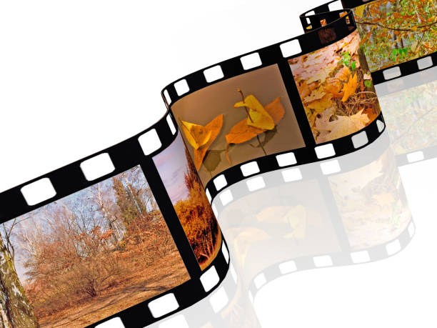 istock Film roll with color pictures 698666666
