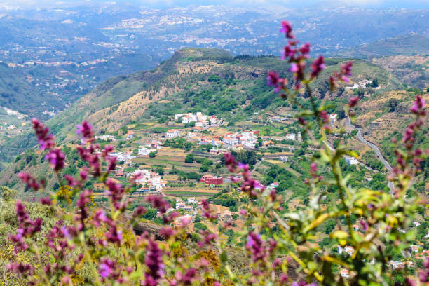 istock Living on Gran Canaria 698667052