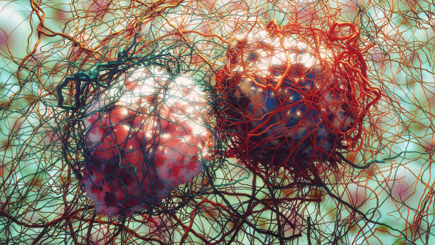 istock Dividing cancer cells 698667120