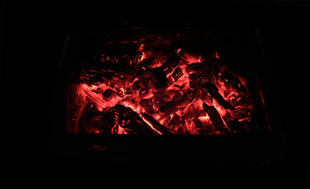 pożar węgla drzewnego - char grilled fire coal heat zdjęcia i obrazy z banku zdjęć