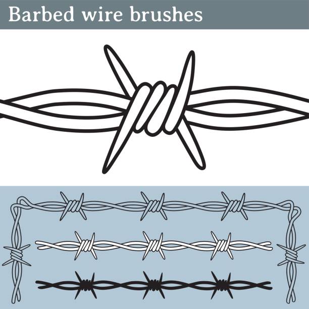 Escovas de arame farpado - ilustração de arte em vetor