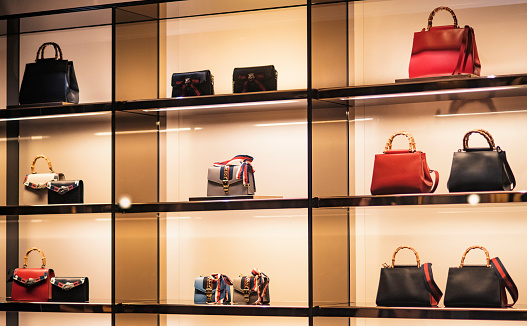women luxury purses