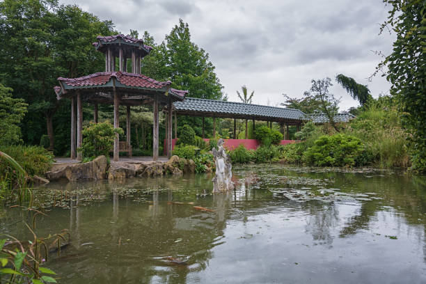 parc mondo verde, picture  of the chinese garden. - chinese wall imagens e fotografias de stock