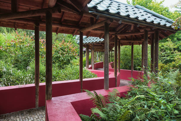 chinese garden with covered walkway symbolizing the great wall. - chinese wall imagens e fotografias de stock