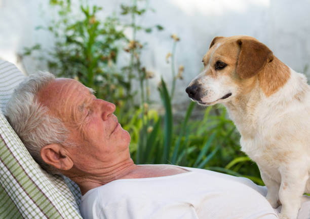 istock Old man with dog in garden 698690930