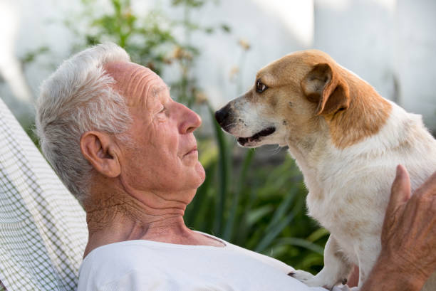 istock Old man with dog in garden 698693166
