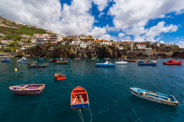 istock Town Camara de Lobos - Madeira United Kingdom 698696366