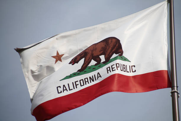 istock The great bear on the California flag. 698712032