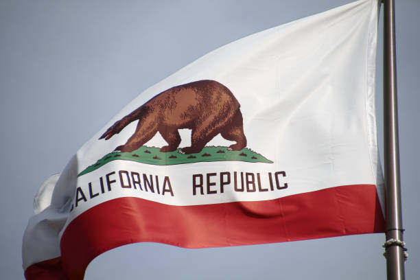 istock The great bear on the California flag. 698712086
