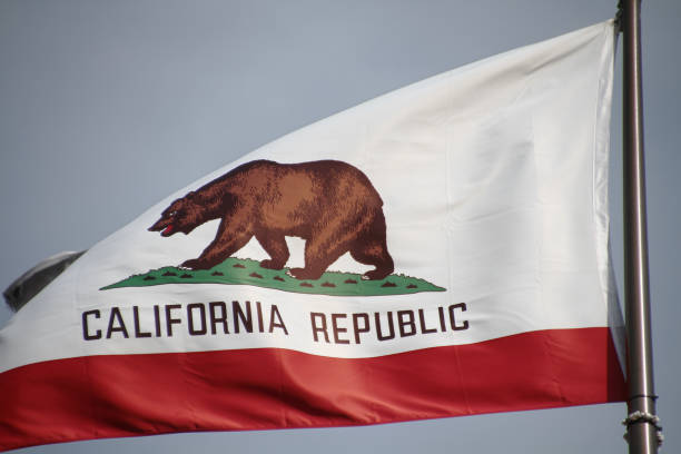 istock The great bear on the California flag. 698712124