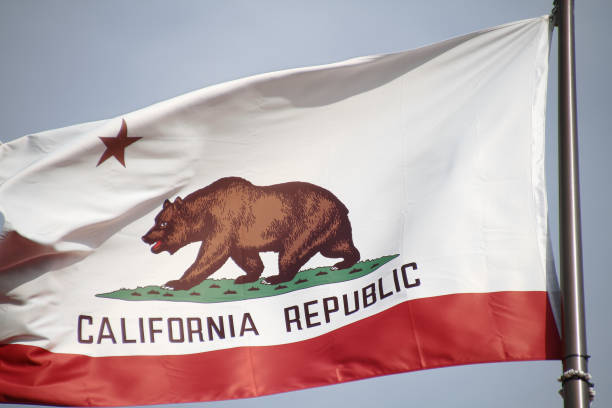 istock The great bear on the California flag. 698712142