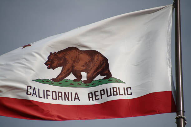 istock The great bear on the California flag. 698712192