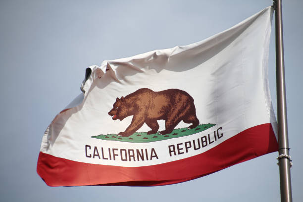 istock The great bear on the California flag. 698724478