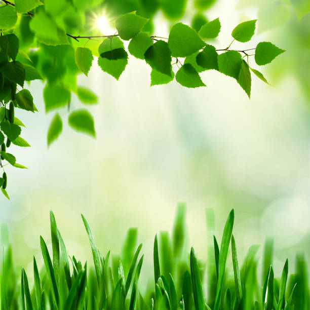 istock Abstract seasonal backgrounds 698733324