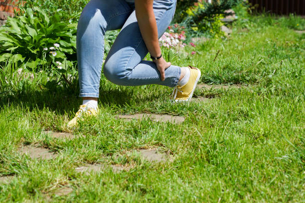 istock damaged leg muscles women 698740416