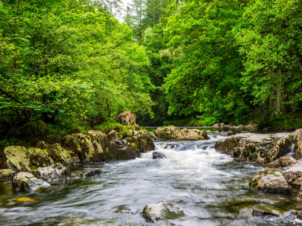 istock Betws-y-coed river in North Wales 698757666