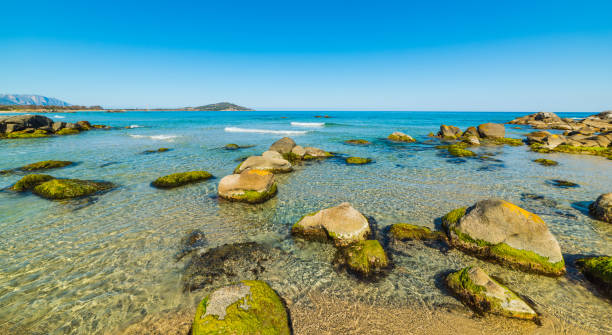 istock Rocks and clear water in Orri beach 698766476