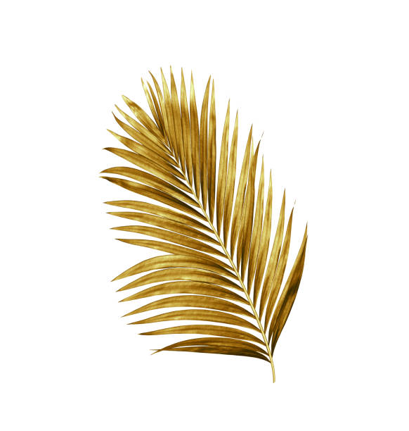 istock leaves of palm tree background 698766510