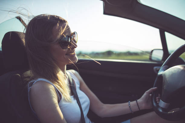 istock Fast ride on the roadtrip 698778394