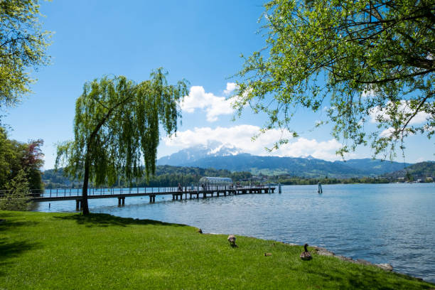 istock Ferry port at Lucern park which there is mountain as background. 698779626