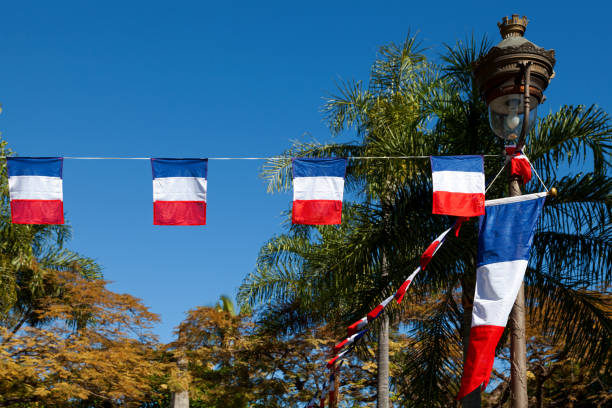 istock French flag bunding for Bastille day 698790996