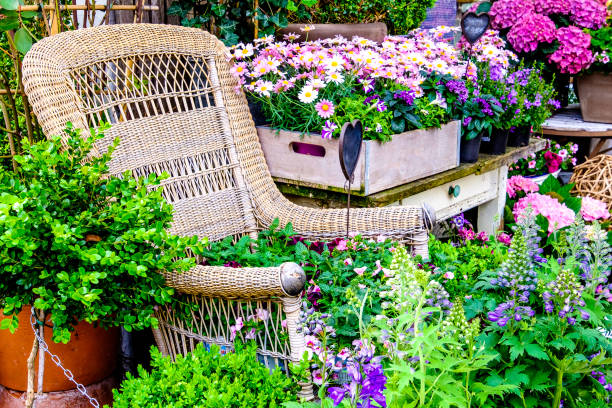 istock old chair and flowers 698798070