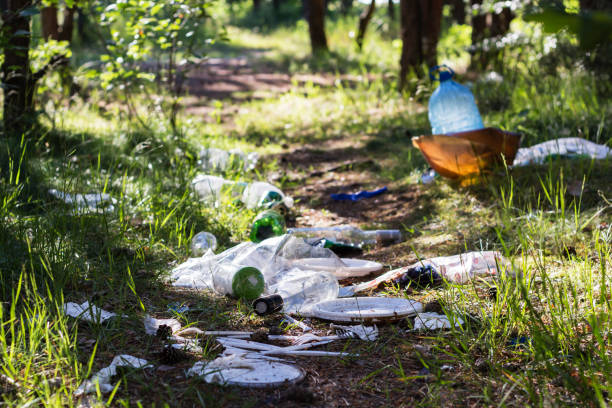istock Pile of garbage on green grass 698809050