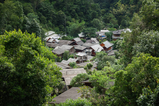 istock Rural village inside green forest 698816404