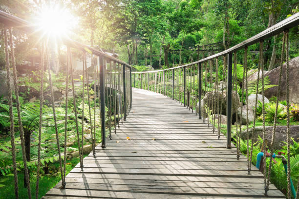 istock Wooden walkway inside green garden with sunlight 698816826