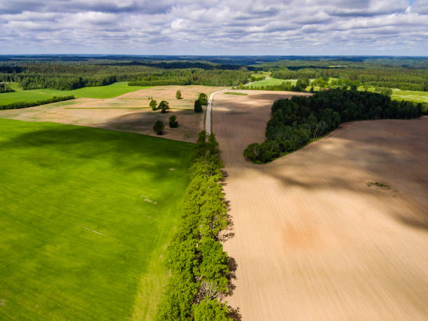 istock drone image. aerial view of rural area with fields 698822030