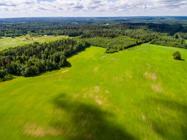 istock drone image. aerial view of rural area with fields 698822124