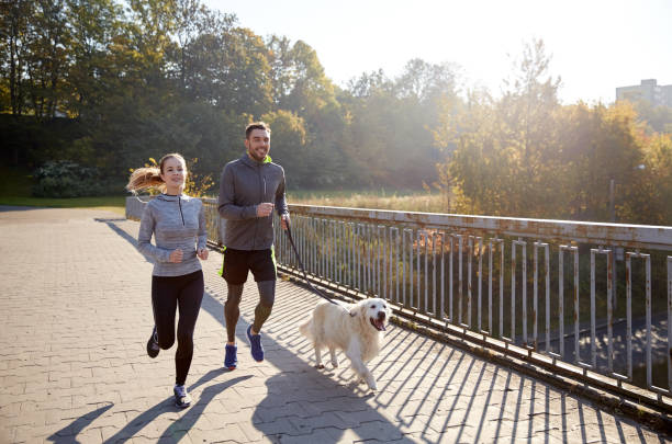 heureux couple avec un chien courir en plein air - dog pets healthy lifestyle cheerful photos et images de collection