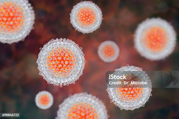 Hepatitis C Virus Model Stock Photo - Download Image Now - Hepatitis C, Virus, Hepatitis