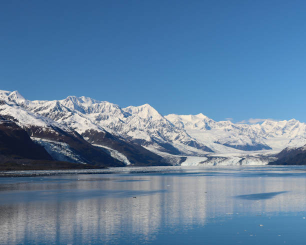 istock Prince William sound glaciers 698862302
