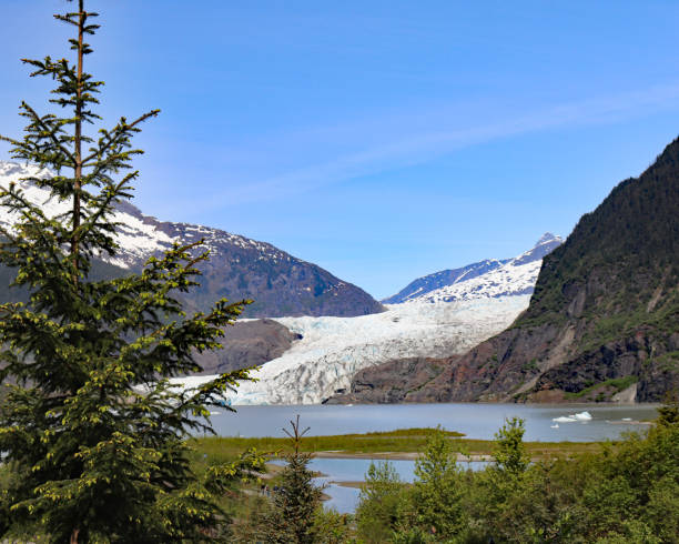 istock Mendenhall lake and glacier 698862762