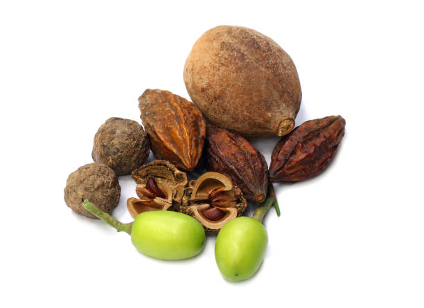 istock A combination of herbal fruits 698865464