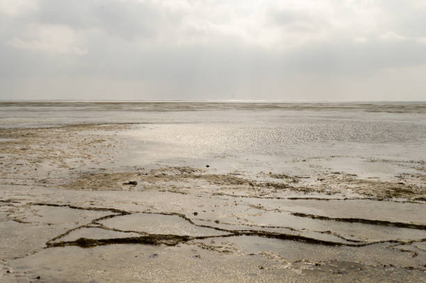 istock View of the beach and ocean 698867564